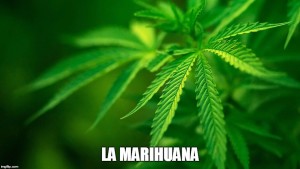 Como Liberarse De La Marihuana